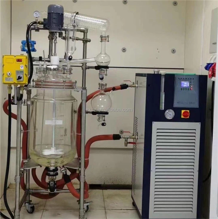 100l Glass Reactor